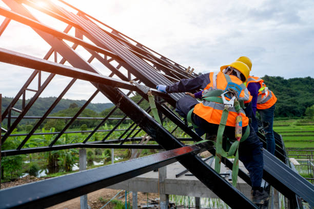 Best Roof Gutter Cleaning  in Elba, AL