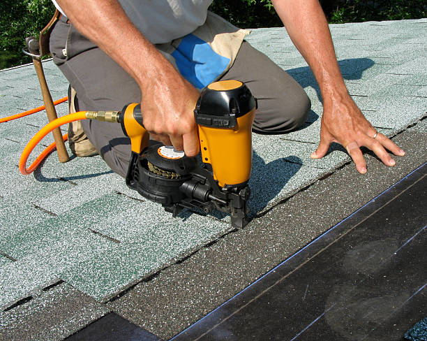 Roof Gutter Cleaning in Elba, AL