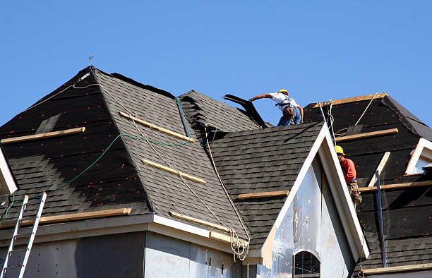 Best Storm Damage Roof Repair  in Elba, AL