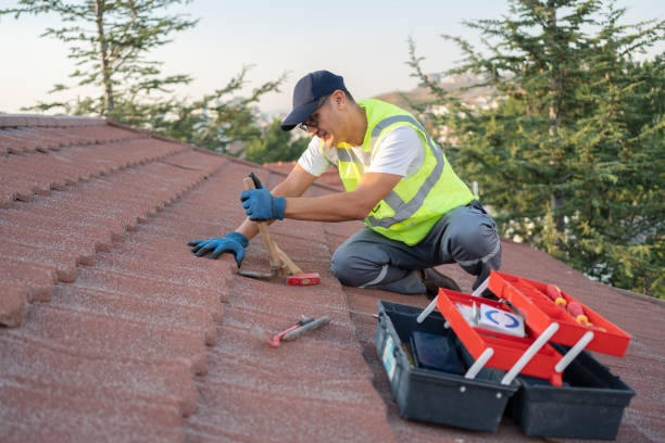 Professional Roofing Contractor in Elba, AL