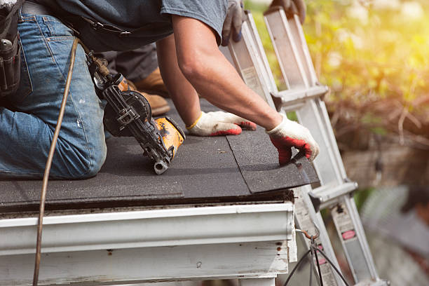 Best Storm Damage Roof Repair  in Elba, AL